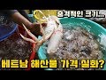 베트남 싱싱한 해산물 시장! 충격적인 가격... 실화냐?ㄷㄷ | Fresh Seafood In Vung Tau, Vietnam