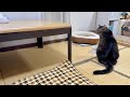 さよならこたつ2026