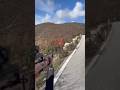 Выживание в лесу: охота на дикого кабана #wildlife #hunting #chasse