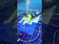Tiling a Pool Without Draining the Water?!#poolrepair #underwater #construction #fyp #foryou