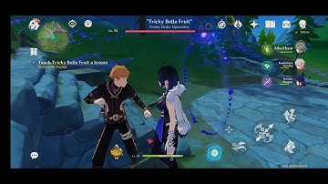 Genshin Impact NPC Bug!