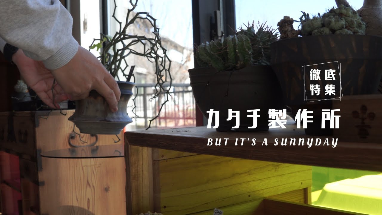 徹底特集】カタチ製作所！伊勢丹イベントと我が家の植え込みをレポート