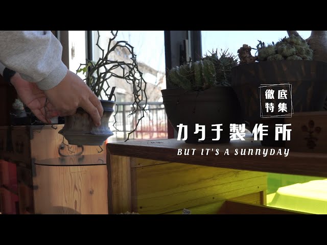 徹底特集】カタチ製作所！伊勢丹イベントと我が家の植え込みをレポート