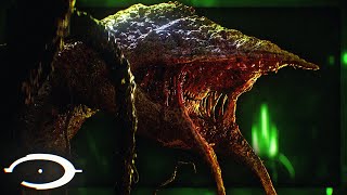 The TERRIFYING REALITY of the Gravemind