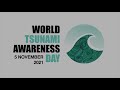 World Tsunami Awareness Day 2021 - Vladimir Ryabinin and Laura Kong