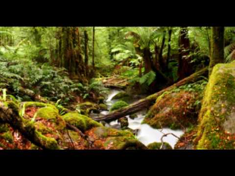 Cepot ijeum Jadi TKW|Wayang Bobodoran