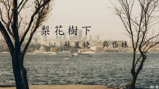 蘇星婕/吳岱林 - 梨花樹下(鈴聲)