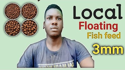 Local floating fish feed 3mm / How to produce it