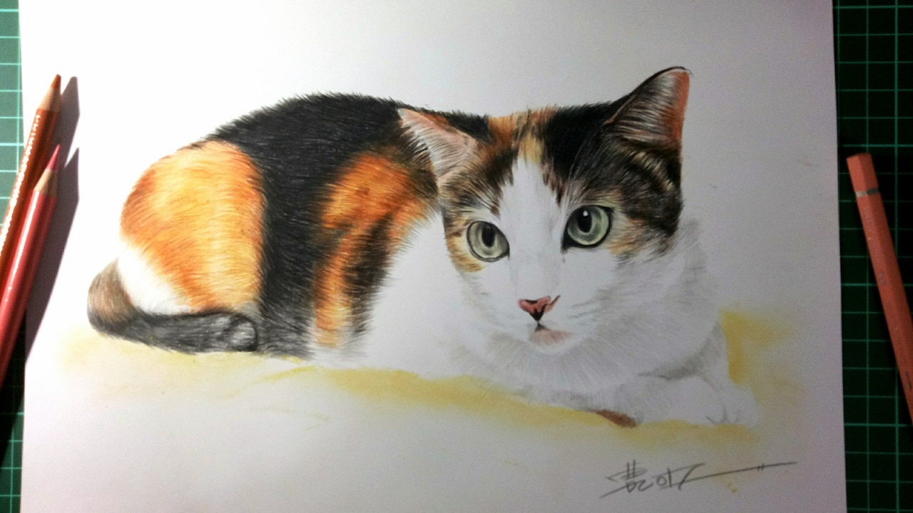 色鉛筆 貓咪5h Youtube