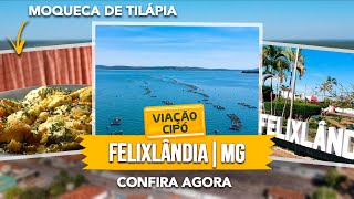 A TRADIÇÃO da linda cidade de FELIXLÂNDIA! | A Viação Cipó te conta tudo!