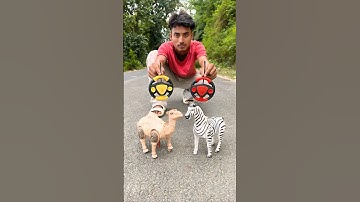 Remote Control Dancing Camel and Zebra Unboxing😱#shorts