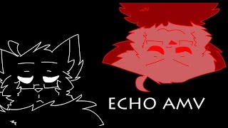 ECHO amv READ DESC