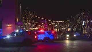 Officer's 'heroic actions' saved lives in mass shooting: police