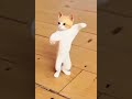 تركي تركي تركي عبدالله الحلو تركككككي حبيبي وقلبي تركي تركي تركي عبدالله الحلو تركككككي حبيبي وقلبي