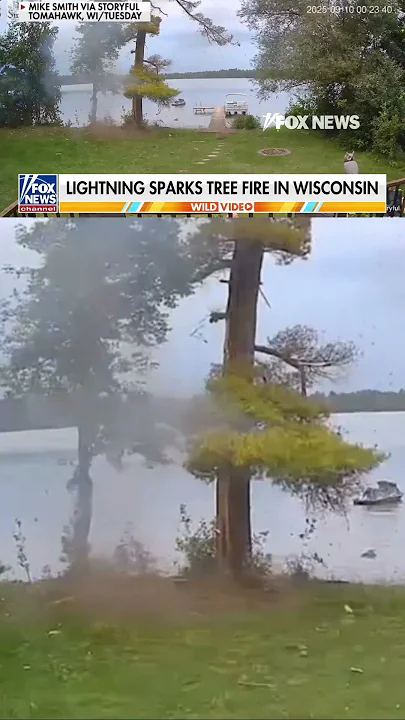 WATCH: Lightning sparks tree FIRE near lake #shorts #foxnews #news #us #viral WATCH: Lightning sparks tree FIRE near lake #shorts #foxnews #news #us #viral