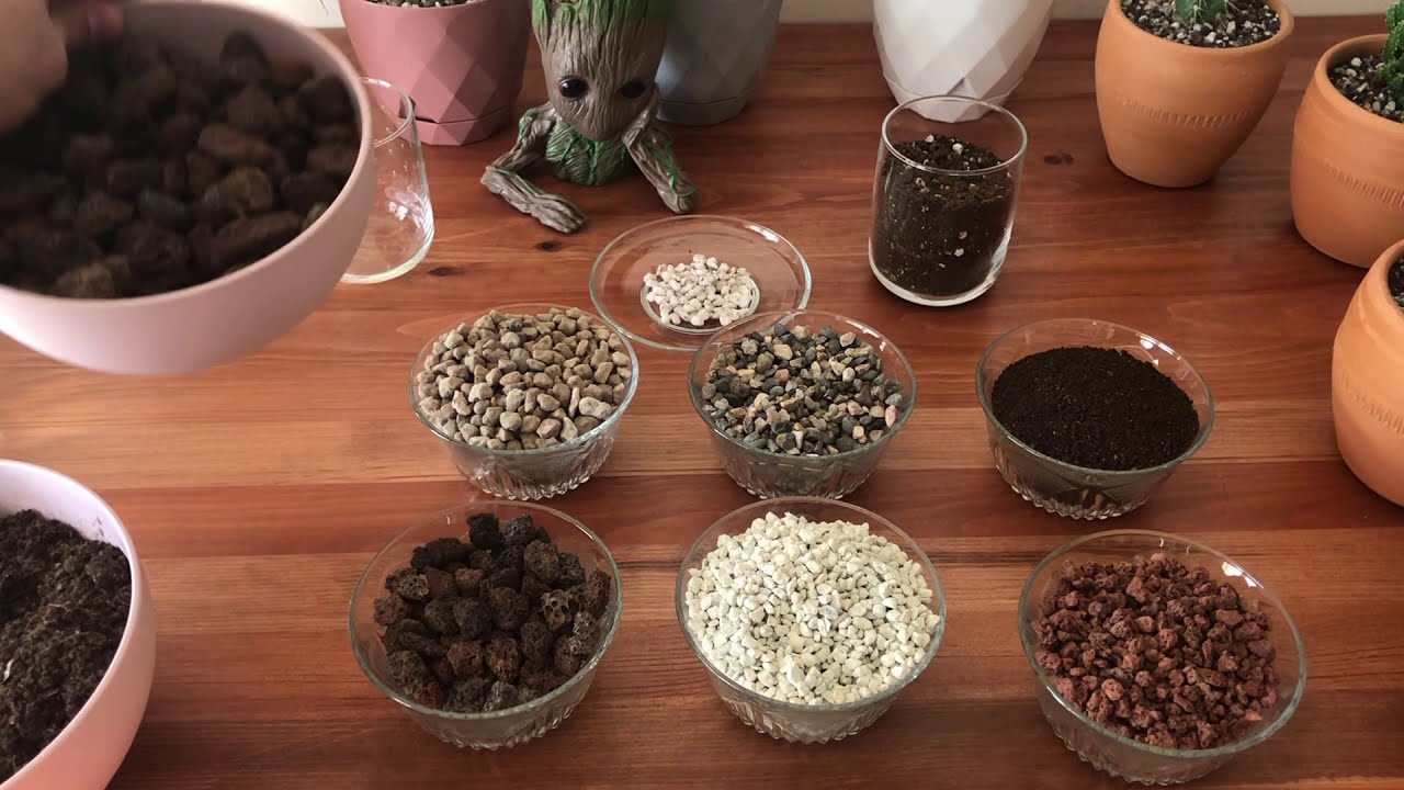 Evde baktığımız bitkiler için toprağımız nasıl olmalı ?