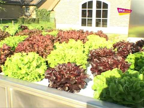 Video: Groenten Telen Zonder De Grond Te Graven - Biologische Landbouw