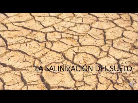 Video: ¿Cómo ocurre la salinización?