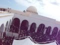 كلمات في الصميم للش يخ رضا الجـــو ادي 