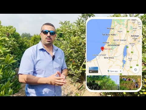 مدينة بيت لاهيا وبحرها شمال غزة وجني ثمار التفاح في أرض أبو أشرف طنطيش    