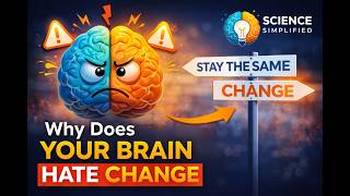 Why does Your Brain Hate Change