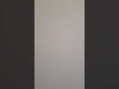 Miele K37672iD 178cm High Built In Integrated Larder Fridge A++ 42