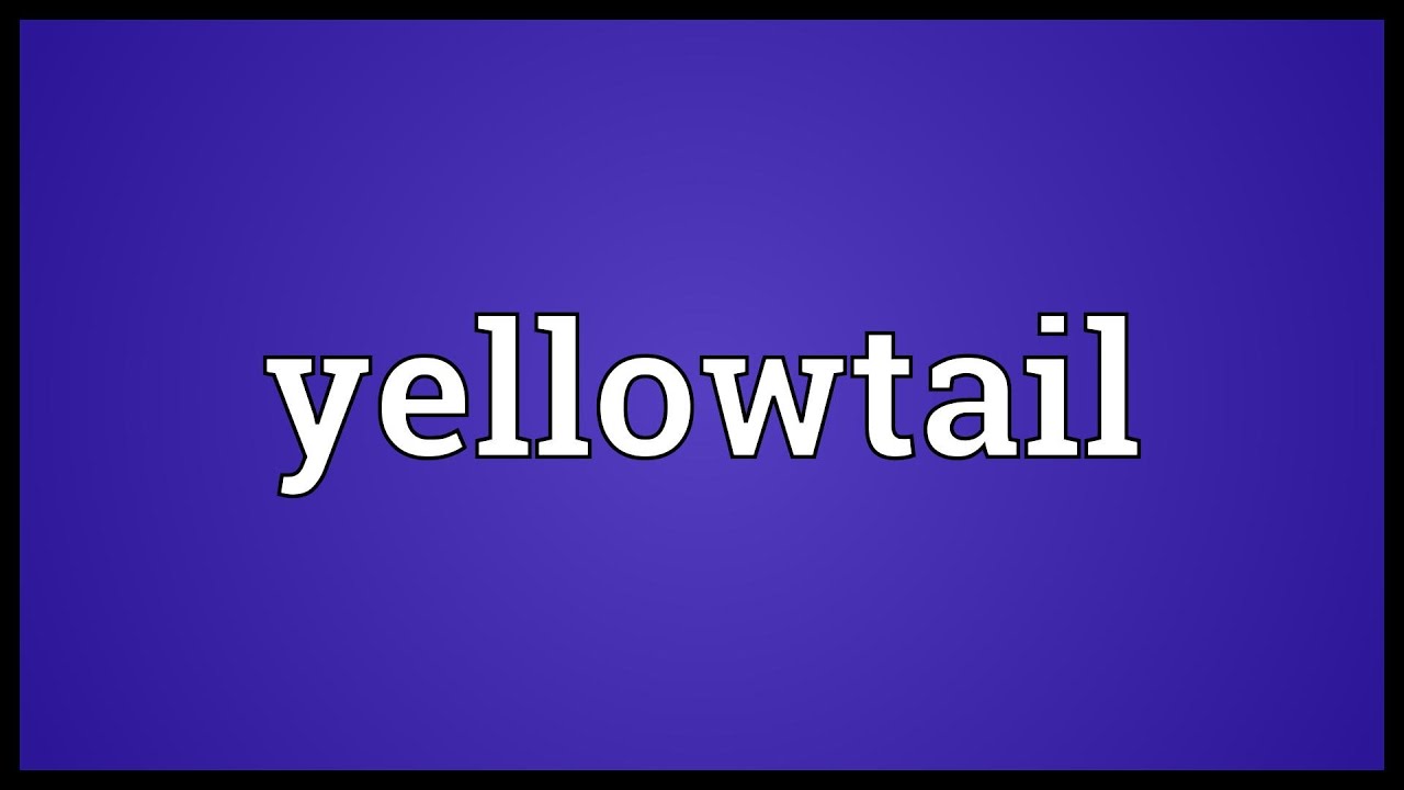Yellowtail Meaning YouTube