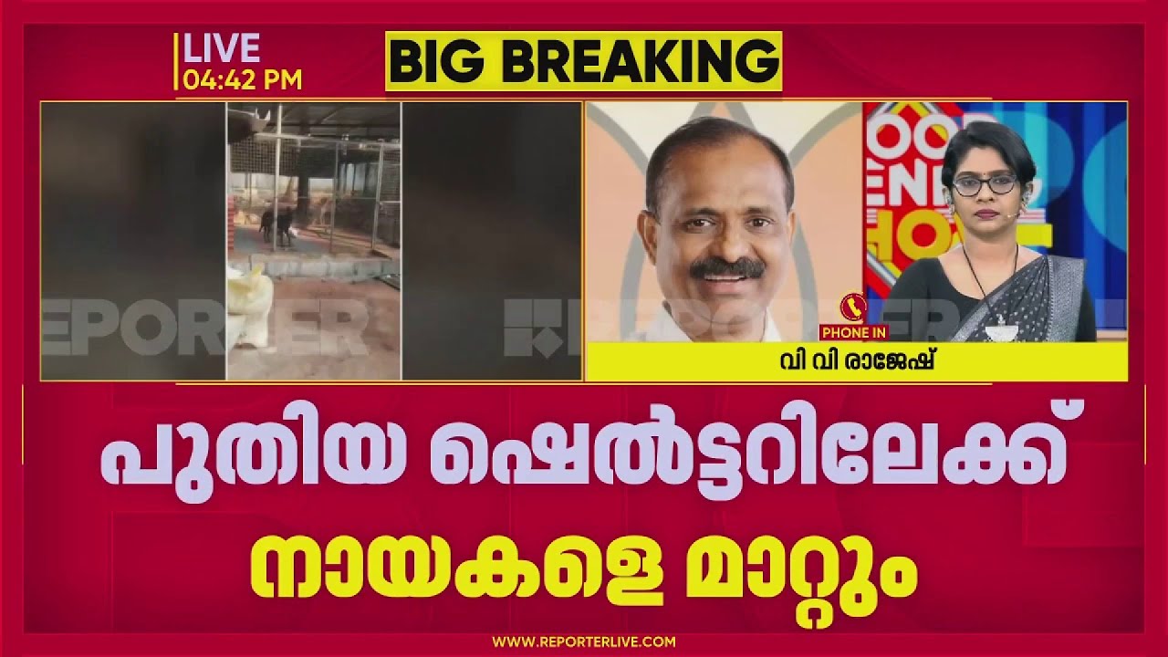 'എല്ലാ മാനദണ്ഡവും പാലിച്ചാണ് ഷെല്‍ട്ടര്‍ നടത്തുന്നത്, ഇനി നായ്ക്കളെ അവിടെ കൊണ്ടുപോകില്ല'; VV Rajesh