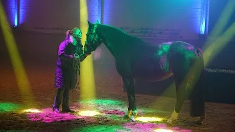 Lichterfee showtraining first time Nov 22/liberty