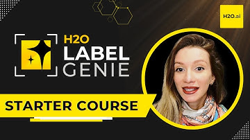 Revolutionizing Data Annotation | H2O Label Genie Starter Track - Teaser
