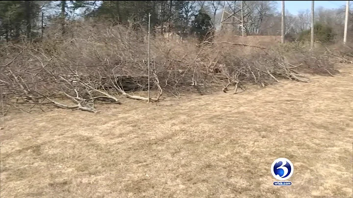 VIDEO: Woman upset after Eversource cut down fruit trees in her yard