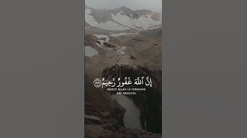 واستغفروا الله إن الله غفور رحيم | القارئ عبدالرحمن مسعد