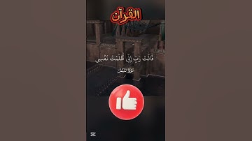 القرآن-سورة النمل #القرآن_الكريم #المصحف