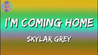 Skylar Grey - I'm coming home  (lyrics video)