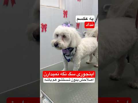 بعضيا رو ميبينم ميخوام ازشون حيوون رو بگيرم از حيوون ميباره     