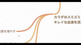 【書評】下半身に筋肉をつけると「太らない」「疲れない」