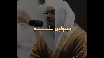 تلاوة خاشعة تأخذك لعالم آخر | الشيخ ياس الدوسري _ سورة المؤمنون