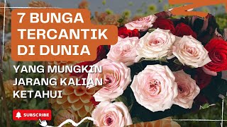 7 Bunga Tercantik Di Dunia Yang Mungkin Jarang Kalian Ketahui