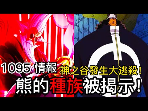 【海賊王】熊的種族被揭示！|神之谷發生大逃殺！| 無圖情報 | 1095 |第二情報 | 無臉