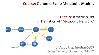 Lecture 1.1 - Metabolic Networks | Genome Scale Metabolic Models
