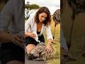 🚨 Rescue of an Injured Ostrich Chick – A Heart-Touching Moment ❤️🐦 #OstrichRescue #epicrescue