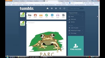 WordPress and Tumblr: How To Integrate and Share These Platforms
