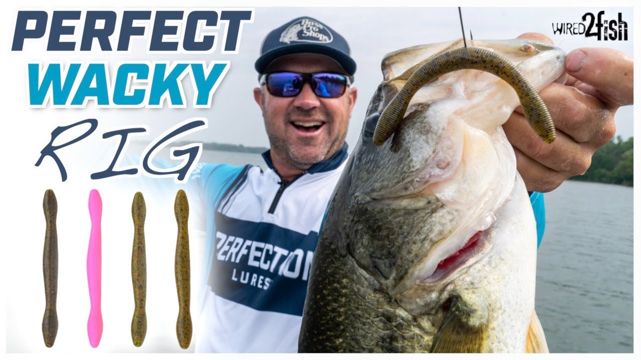 Watch How to Wacky Rig Summer Bass With David Dudley Video on