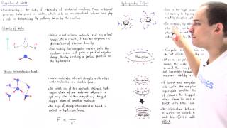 Properties of Water and Hydrophobic Effect (Part II)