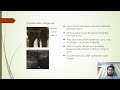 Unilateral Testicular Enlargment in Stallion