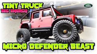 Is This the Best Micro Land Rover Defender Rc You Can Buy