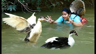 Wow ! Amazing women Catch big Duck At River - Cooking big Duck Eating Delicious