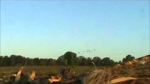 Wrecking Crew - Early Season Part 1