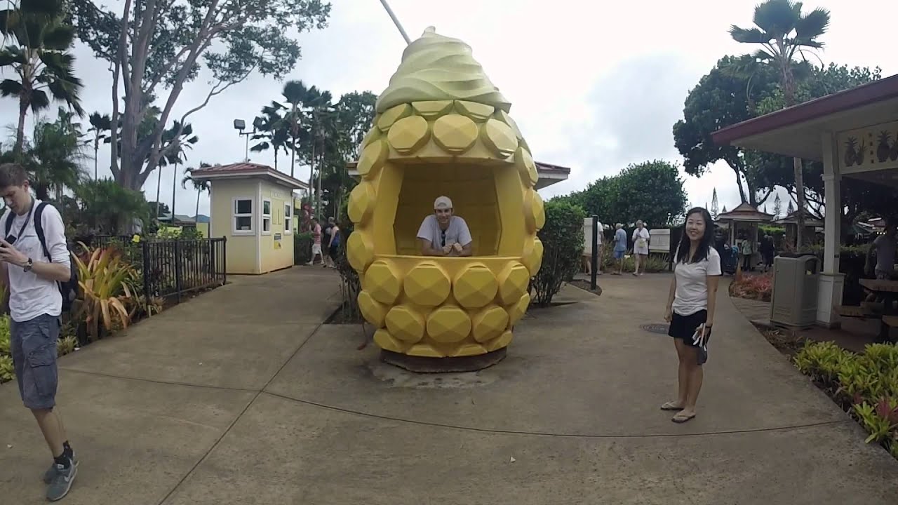 Glimpse Hawaii Episode 6 Dole Pineapple Plantation YouTube