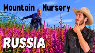 We went to a Russian nursery, What did we find?